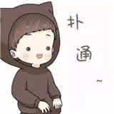 严z1