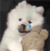 Aaaaar
