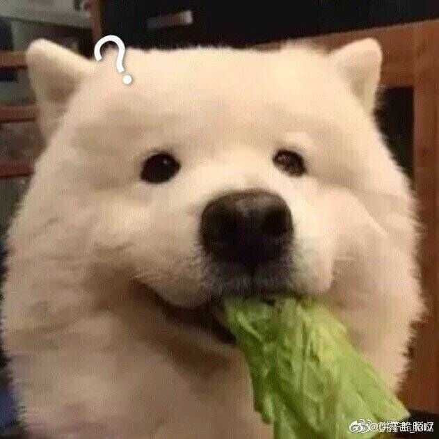 怪咖